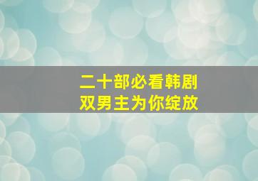 二十部必看韩剧双男主为你绽放