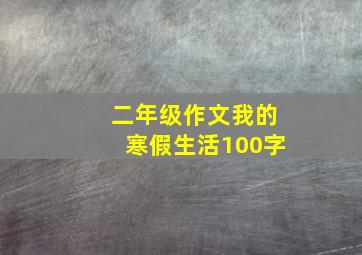 二年级作文我的寒假生活100字