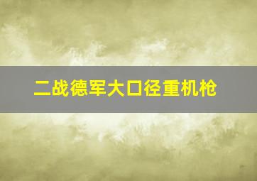 二战德军大口径重机枪