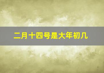 二月十四号是大年初几