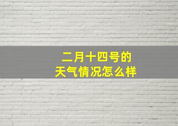 二月十四号的天气情况怎么样