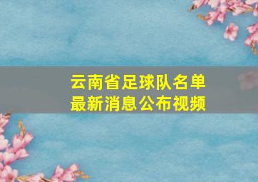 云南省足球队名单最新消息公布视频