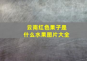 云南红色果子是什么水果图片大全