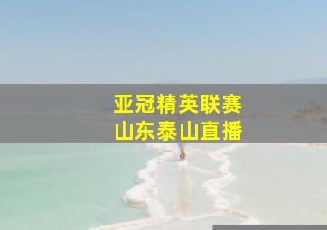 亚冠精英联赛山东泰山直播