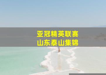 亚冠精英联赛山东泰山集锦