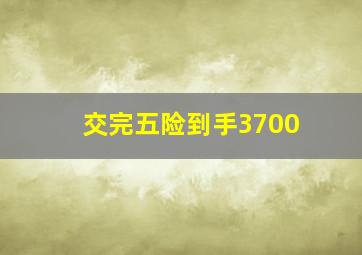 交完五险到手3700