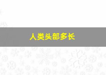 人类头部多长