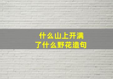 什么山上开满了什么野花造句