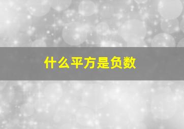 什么平方是负数