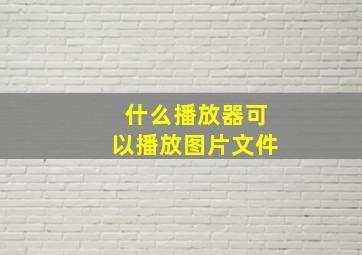 什么播放器可以播放图片文件