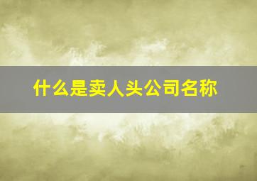 什么是卖人头公司名称