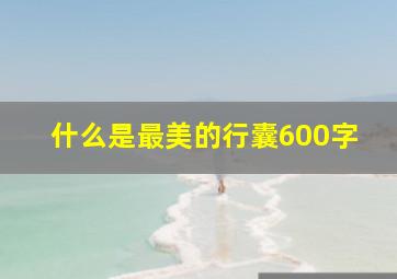 什么是最美的行囊600字