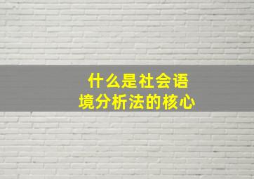 什么是社会语境分析法的核心