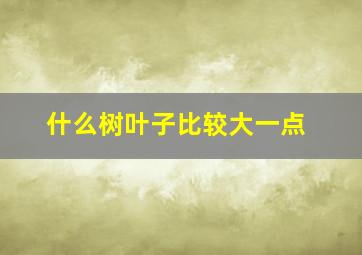 什么树叶子比较大一点