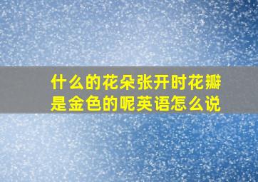 什么的花朵张开时花瓣是金色的呢英语怎么说