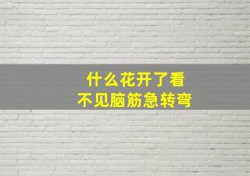 什么花开了看不见脑筋急转弯