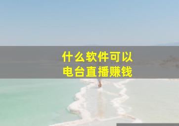 什么软件可以电台直播赚钱