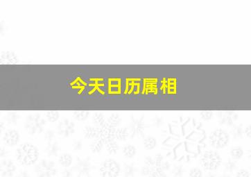 今天日历属相