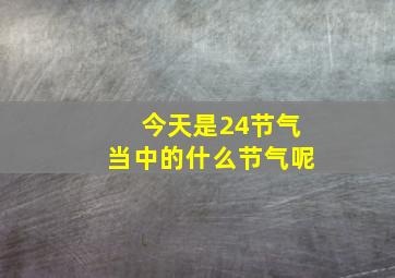 今天是24节气当中的什么节气呢