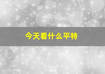 今天看什么平特