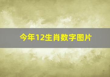 今年12生肖数字图片