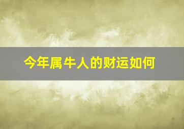 今年属牛人的财运如何