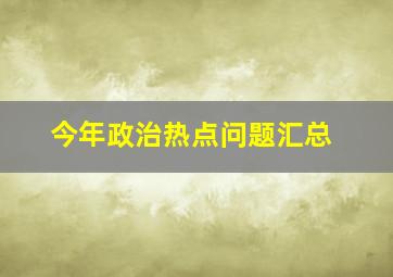 今年政治热点问题汇总