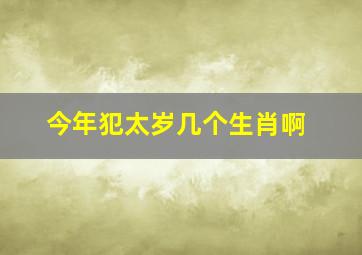 今年犯太岁几个生肖啊