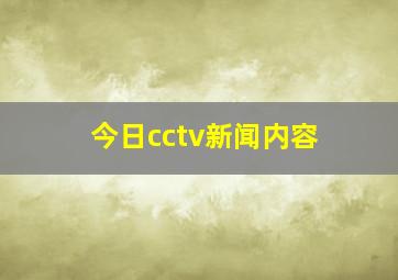 今日cctv新闻内容