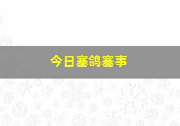 今日塞鸽塞事