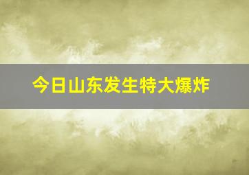 今日山东发生特大爆炸