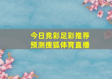 今日竞彩足彩推荐预测搜狐体育直播