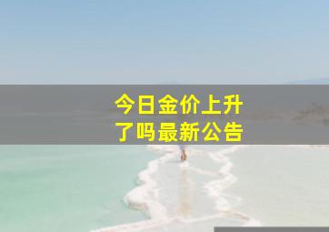 今日金价上升了吗最新公告