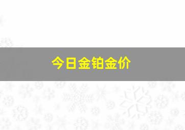 今日金铂金价