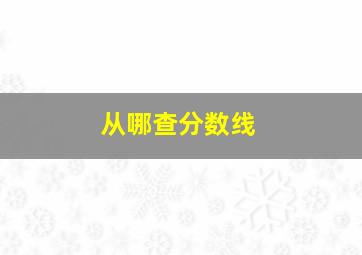 从哪查分数线