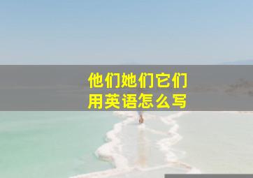 他们她们它们用英语怎么写