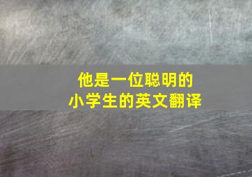 他是一位聪明的小学生的英文翻译