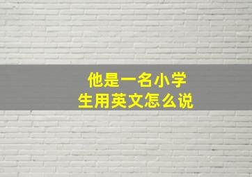 他是一名小学生用英文怎么说