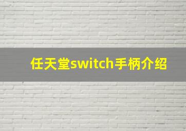 任天堂switch手柄介绍