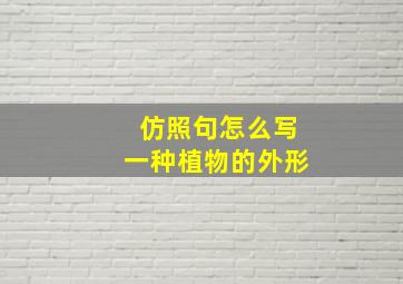 仿照句怎么写一种植物的外形