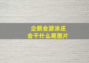 企鹅会游泳还会干什么呢图片