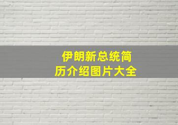 伊朗新总统简历介绍图片大全