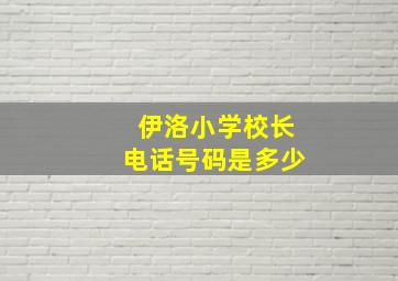 伊洛小学校长电话号码是多少