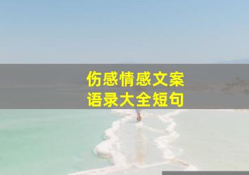 伤感情感文案语录大全短句