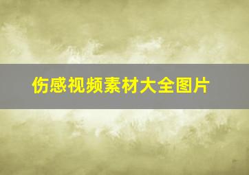 伤感视频素材大全图片