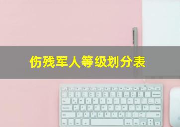 伤残军人等级划分表