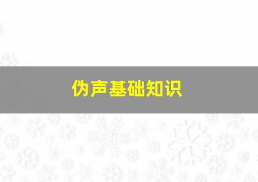 伪声基础知识