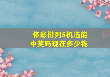 体彩排列5机选能中奖吗现在多少钱