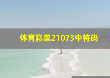 体育彩票21073中将码