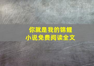 你就是我的锦鲤小说免费阅读全文